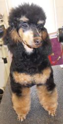 Winni6Mo 010